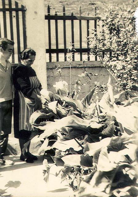 1950. Casa de la família Tudela. Fons: Divina Luce Casanovas