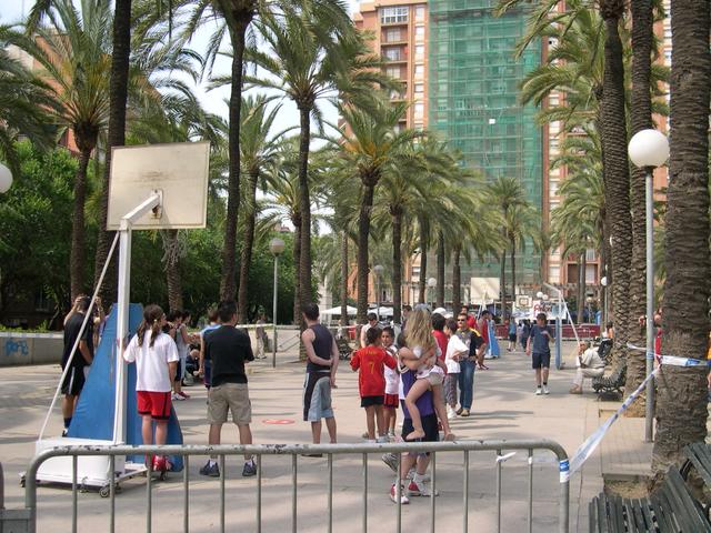 Torneig de basquet