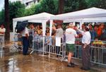 Festes populars Sant Antoni 2001