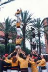 Festes populars Sant Antoni 2000