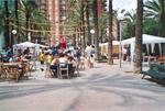 Festes populars Sant Antoni 2001