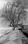 1952 Carretera Antiga de València