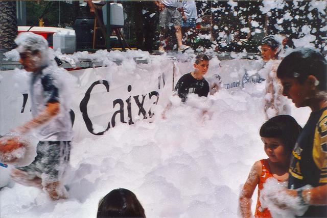 Festes populars Sant Antoni 2001